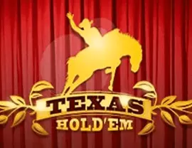 Texas Hold'em Poker